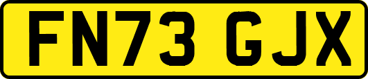 FN73GJX