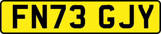 FN73GJY