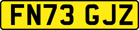 FN73GJZ