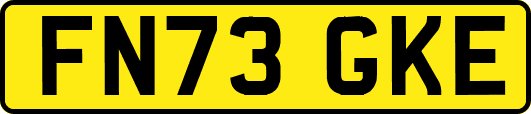 FN73GKE