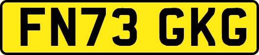 FN73GKG