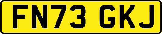 FN73GKJ