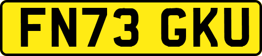 FN73GKU