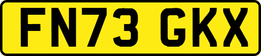 FN73GKX