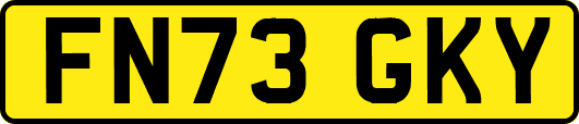 FN73GKY