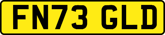FN73GLD