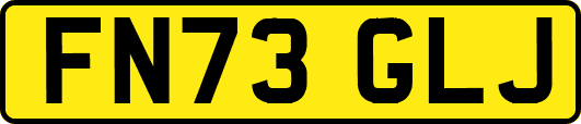 FN73GLJ