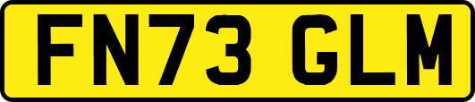 FN73GLM