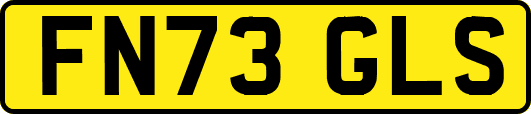 FN73GLS