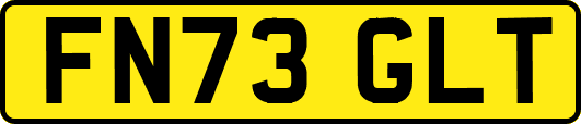 FN73GLT