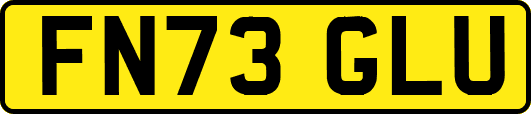 FN73GLU
