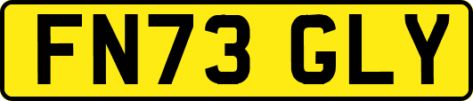 FN73GLY