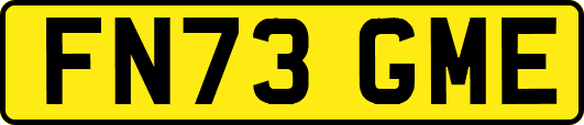 FN73GME