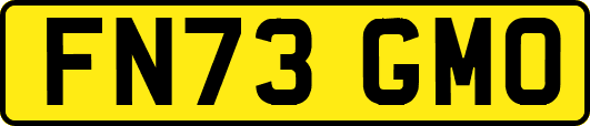 FN73GMO