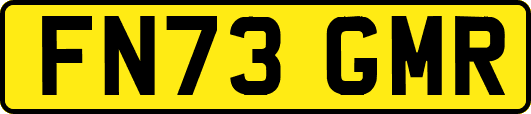 FN73GMR