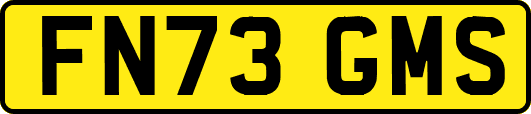 FN73GMS