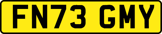 FN73GMY