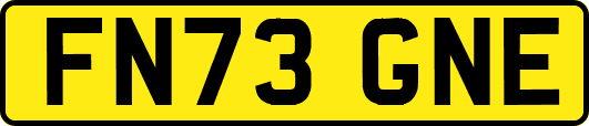 FN73GNE