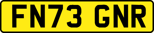FN73GNR