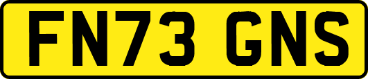FN73GNS