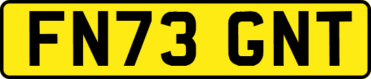 FN73GNT