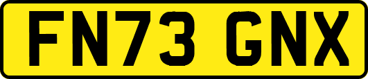 FN73GNX