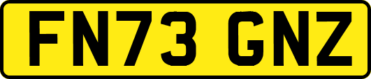 FN73GNZ