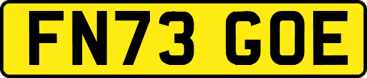 FN73GOE