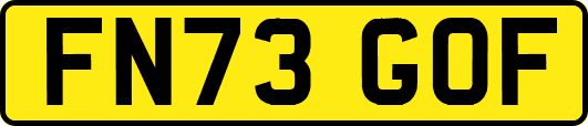 FN73GOF