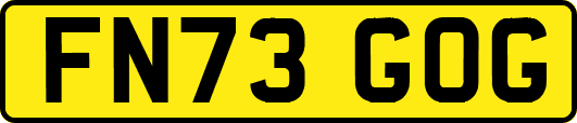 FN73GOG
