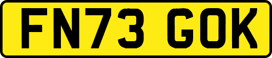 FN73GOK
