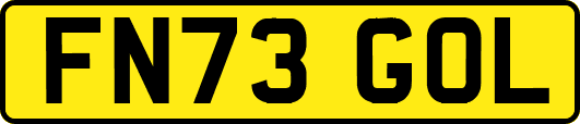FN73GOL