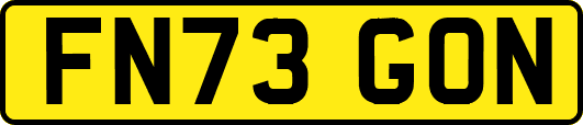 FN73GON