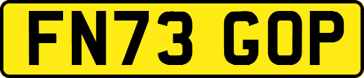 FN73GOP