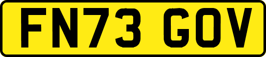 FN73GOV