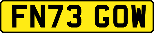 FN73GOW