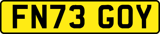 FN73GOY