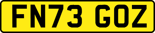 FN73GOZ