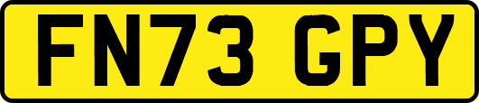 FN73GPY