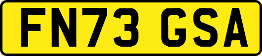 FN73GSA