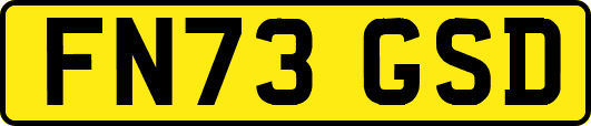 FN73GSD