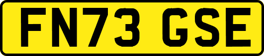 FN73GSE
