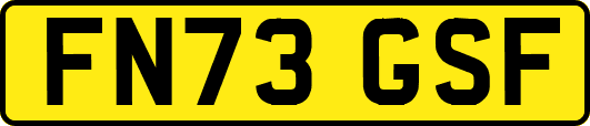 FN73GSF