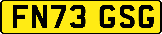 FN73GSG