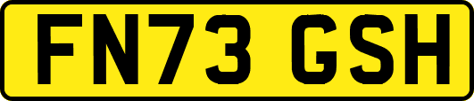 FN73GSH