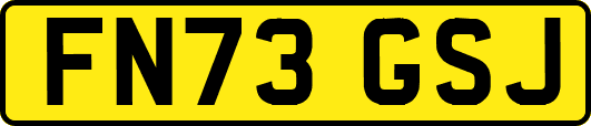 FN73GSJ
