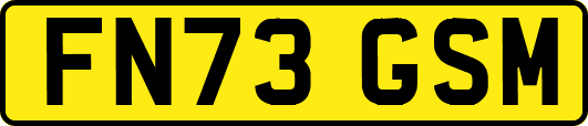 FN73GSM