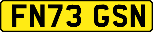 FN73GSN