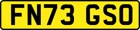 FN73GSO