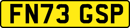 FN73GSP